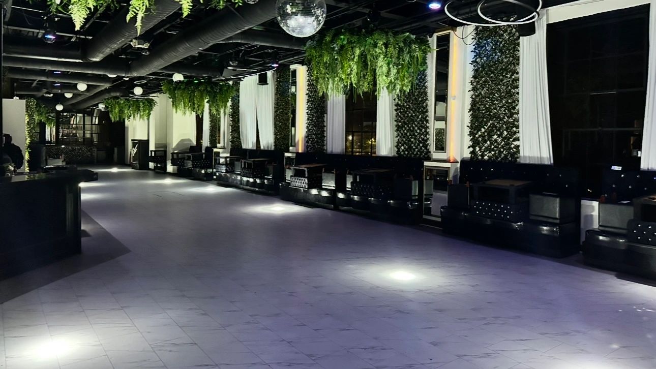 The Ultralounge set for an event, with hanging greenery and low lighting